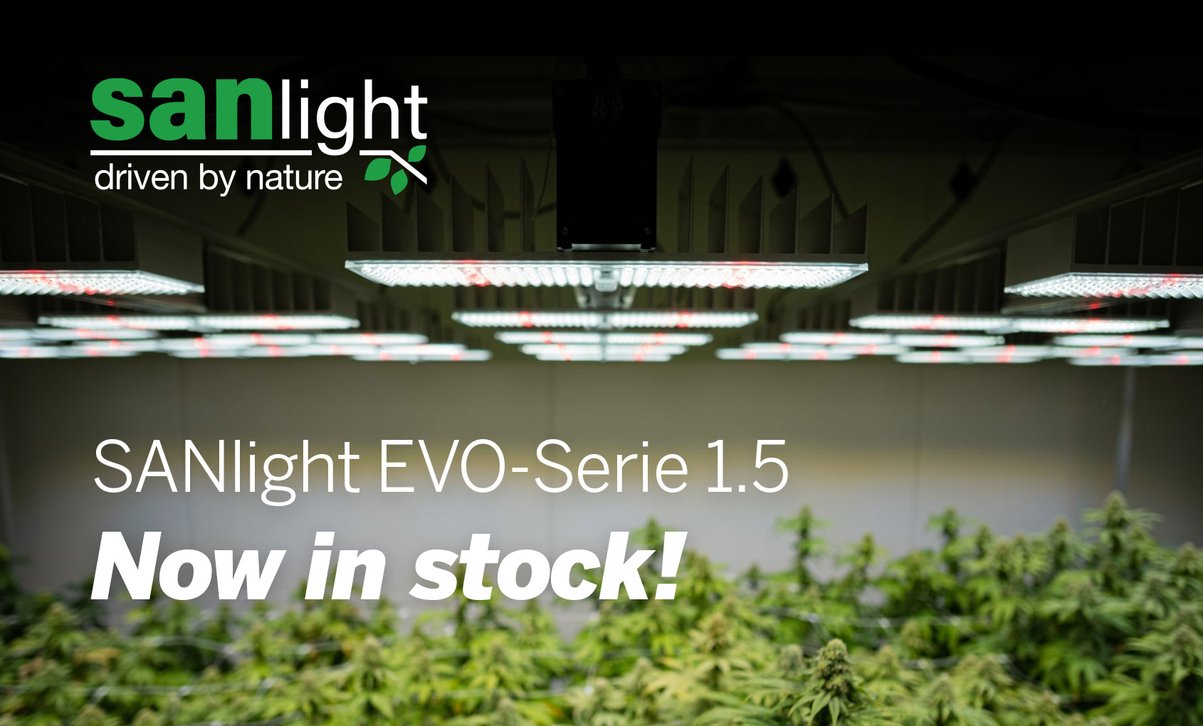 Now-In-Stock-sanlight-evo-serie-1.5